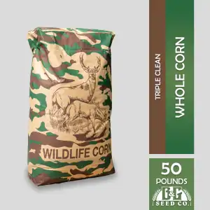 Whole Corn Triple Cleaned