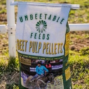 Beet Pulp Pellets