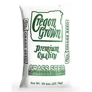 Gulf Annual Ryegrass Seed