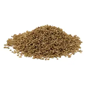 Japanese Millet