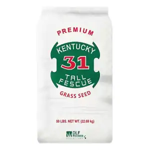 Kentucky 31 Tall Fescue Grass Seed