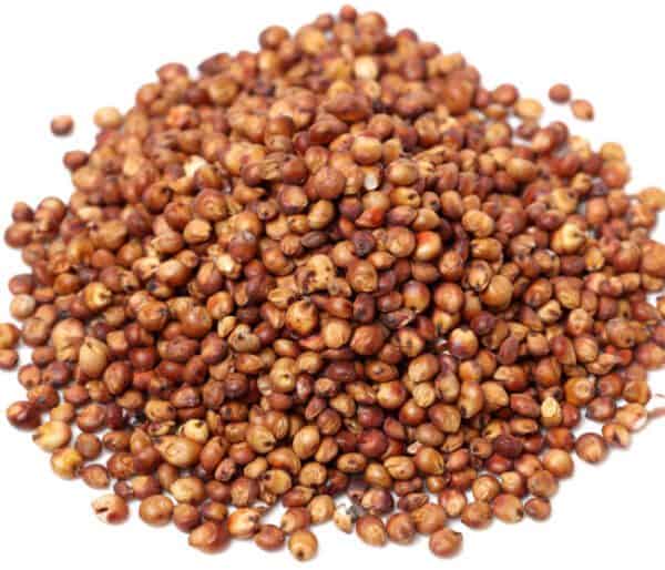 SORGHUM WILDLIFE PLATING SEED