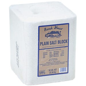 Ranch House White Salt Block