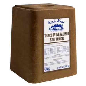 Ranch House Trace Mineralized Salt Block