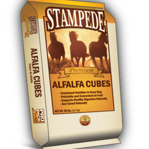 Stampede Alfalfa Cubes
