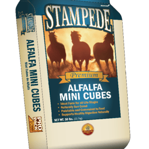 Stampede Alfalfa Mini Cubes