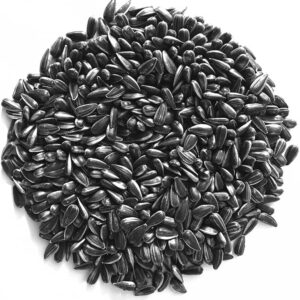 Black Oil Sunflower Seeds
