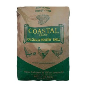 Oyster Shell