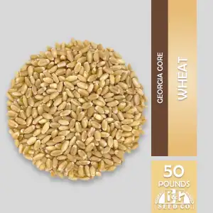 Georgia Gore Planting Wheat 50 Lbs