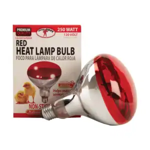 Red Heat Lamp Bulb, 250 watt/120v - Brooder Lamp Bulb for Chickens & Small Flocks