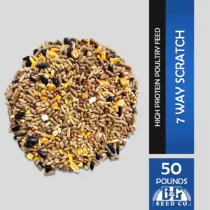 7 Way Scratch - High Protein