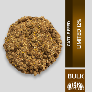 12% BULK CATTLE FEED STARTER/FINISHER